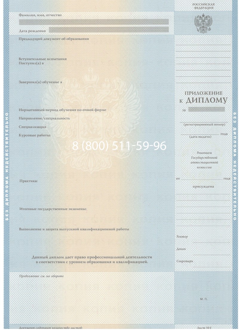 Заказать Диплом бакалавра 2003-2009 годов в Набережных Челнах Заказать Диплом бакалавра 2003-2009 годов в Набережных Челнах