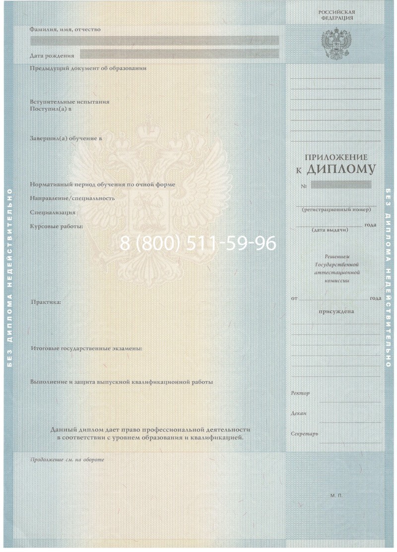 Заказать Диплом бакалавра 2012-2013 годов в Набережных Челнах Заказать Диплом бакалавра 2012-2013 годов в Набережных Челнах