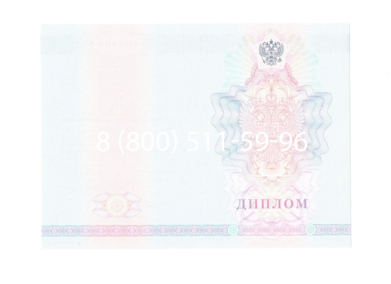 Заказать Диплом колледжа 2007-2010 годов в Набережных Челнах Заказать Диплом колледжа 2007-2010 годов в Набережных Челнах