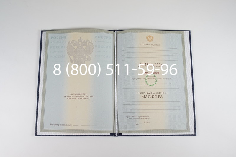 Диплом магистра 2003-2009 годов в Набережных Челнах