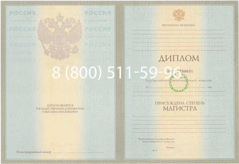 Купить Диплом магистра 2003-2009 годов в Набережных Челнах