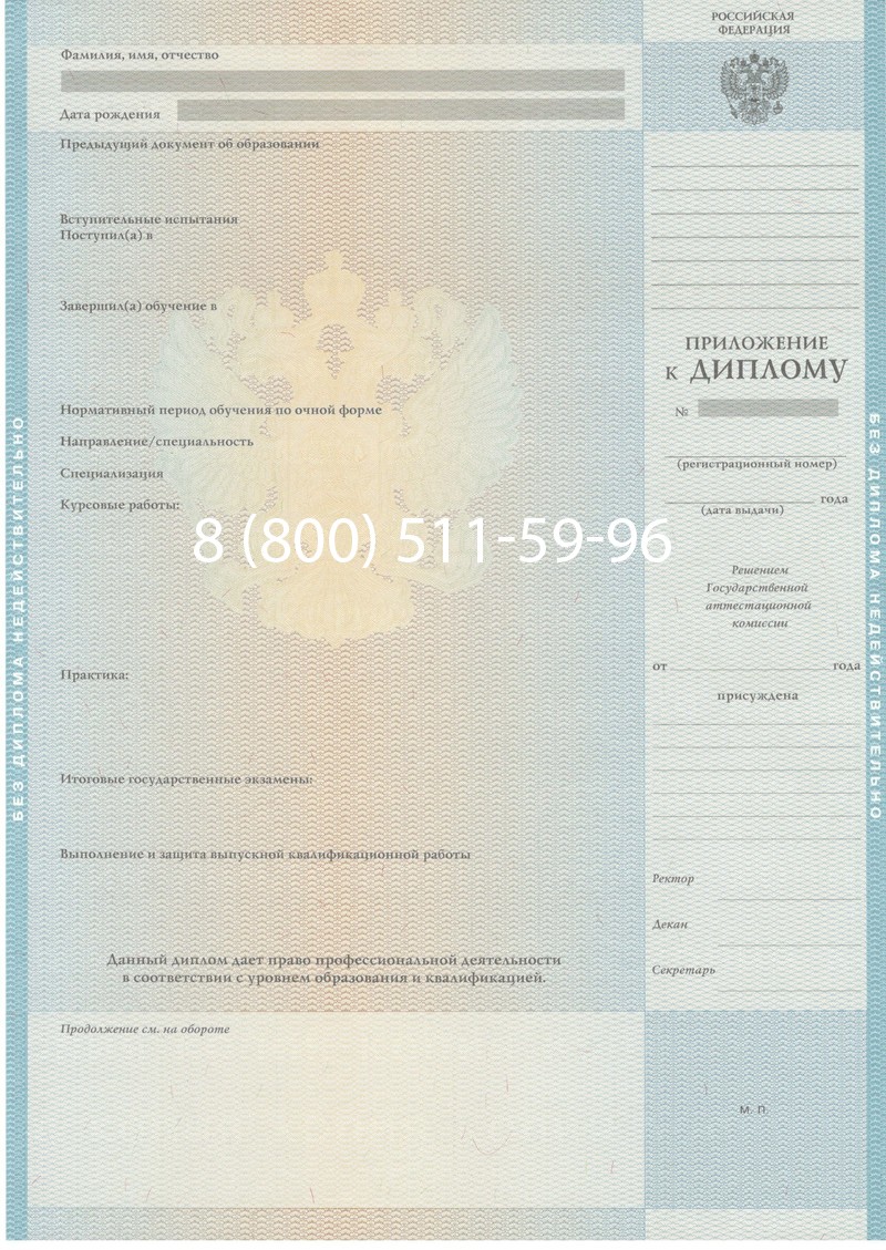 Заказать Диплом магистра 2010-2011 годов в Набережных Челнах