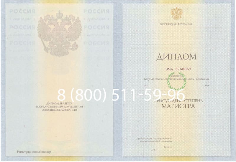 Купить Диплом магистра 2010-2011 годов в Набережных Челнах