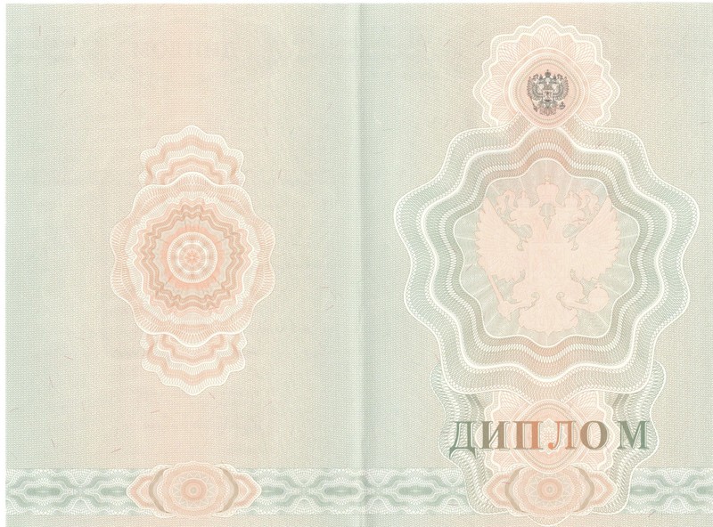 Купить Диплом о начальном образовании  2007-2009 годов в Набережных Челнах