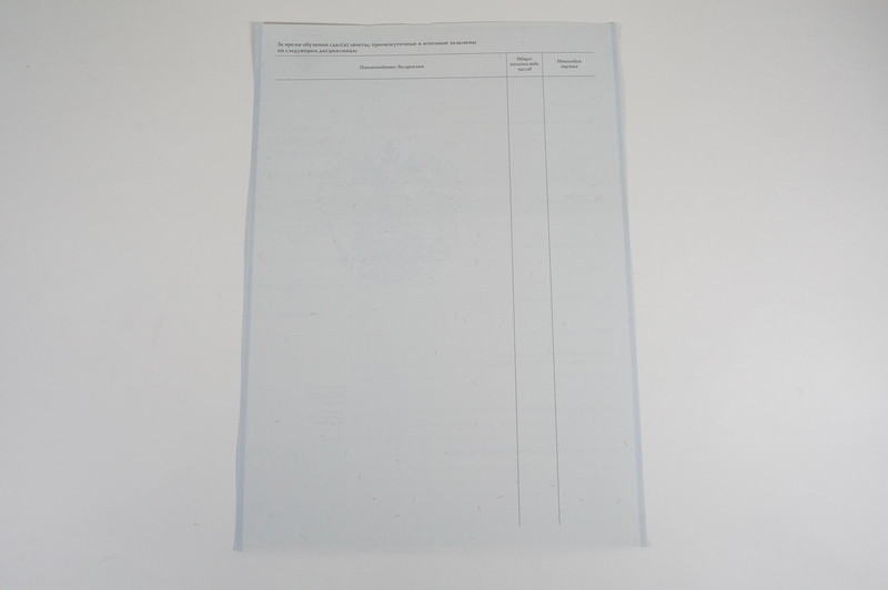 Диплом о начальном образовании  2007-2009 годов в Набережных Челнах