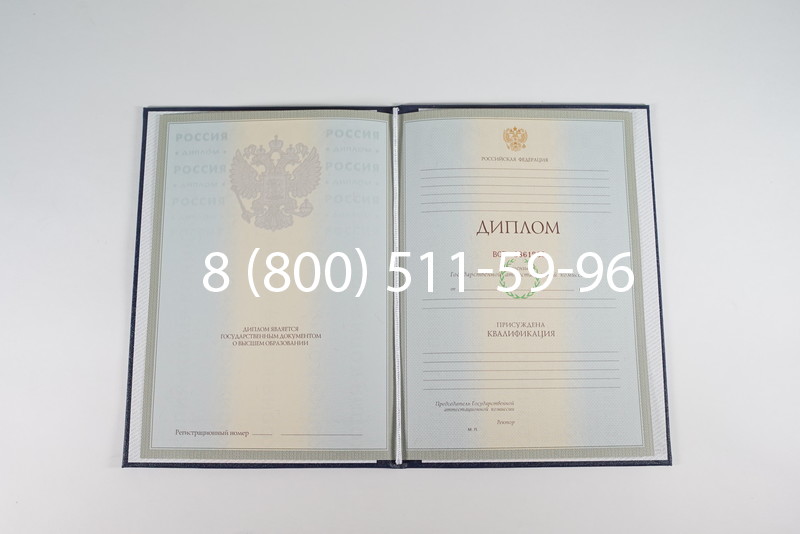 Диплом о высшем образовании 2003-2009 годов в Набережных Челнах Диплом о высшем образовании 2003-2009 годов в Набережных Челнах