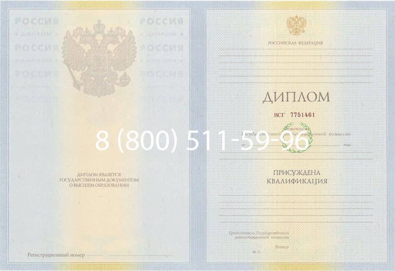 Купить Диплом о высшем образовании 2010-2011 годов в Набережных Челнах Купить Диплом о высшем образовании 2010-2011 годов в Набережных Челнах