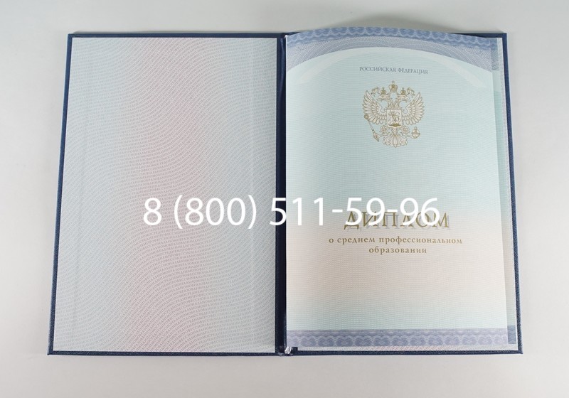Заказать Диплом колледжа (Спецбланк) 2014-2024 года в Набережных Челнах Заказать Диплом колледжа (Спецбланк) 2014-2024 года в Набережных Челнах