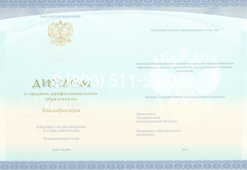 Купить Диплом колледжа (Спецбланк) 2014-2024 года в Набережных Челнах Купить Диплом колледжа (Спецбланк) 2014-2024 года в Набережных Челнах