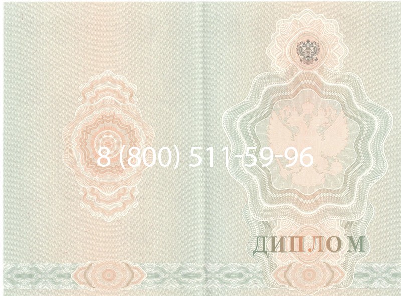 Купить Диплом училища 2007-2009 годов в Набережных Челнах